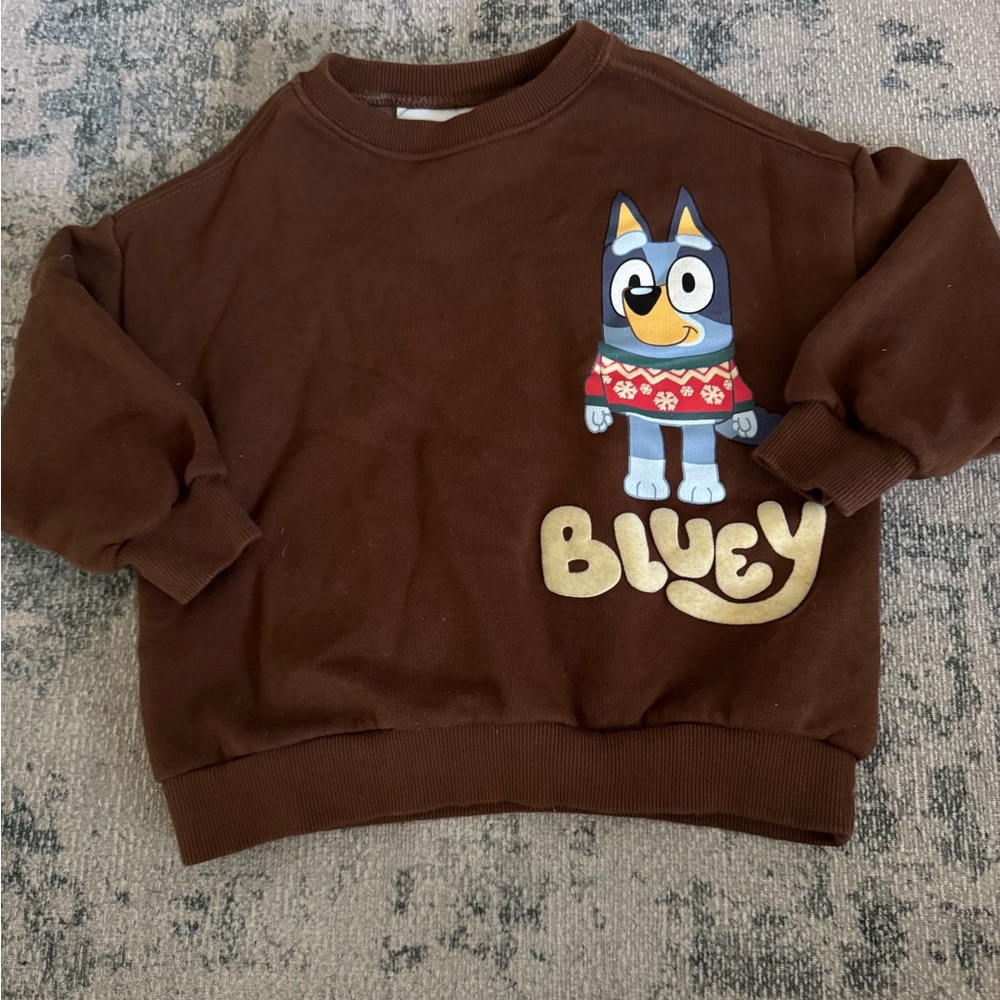 Kids bluey sweater